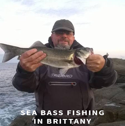 Sea bass fishing in Brittany